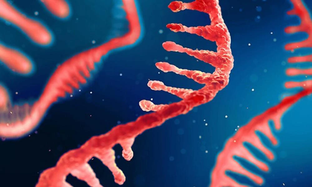 Νόμπελ: Στους πρωτεργάτες των εμβολίων RNA το βραβείο Ιατρικής